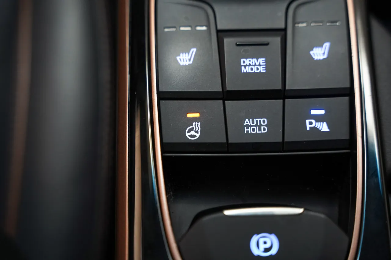 Hyundai Ioniq Premium EV, фото 27 з 45