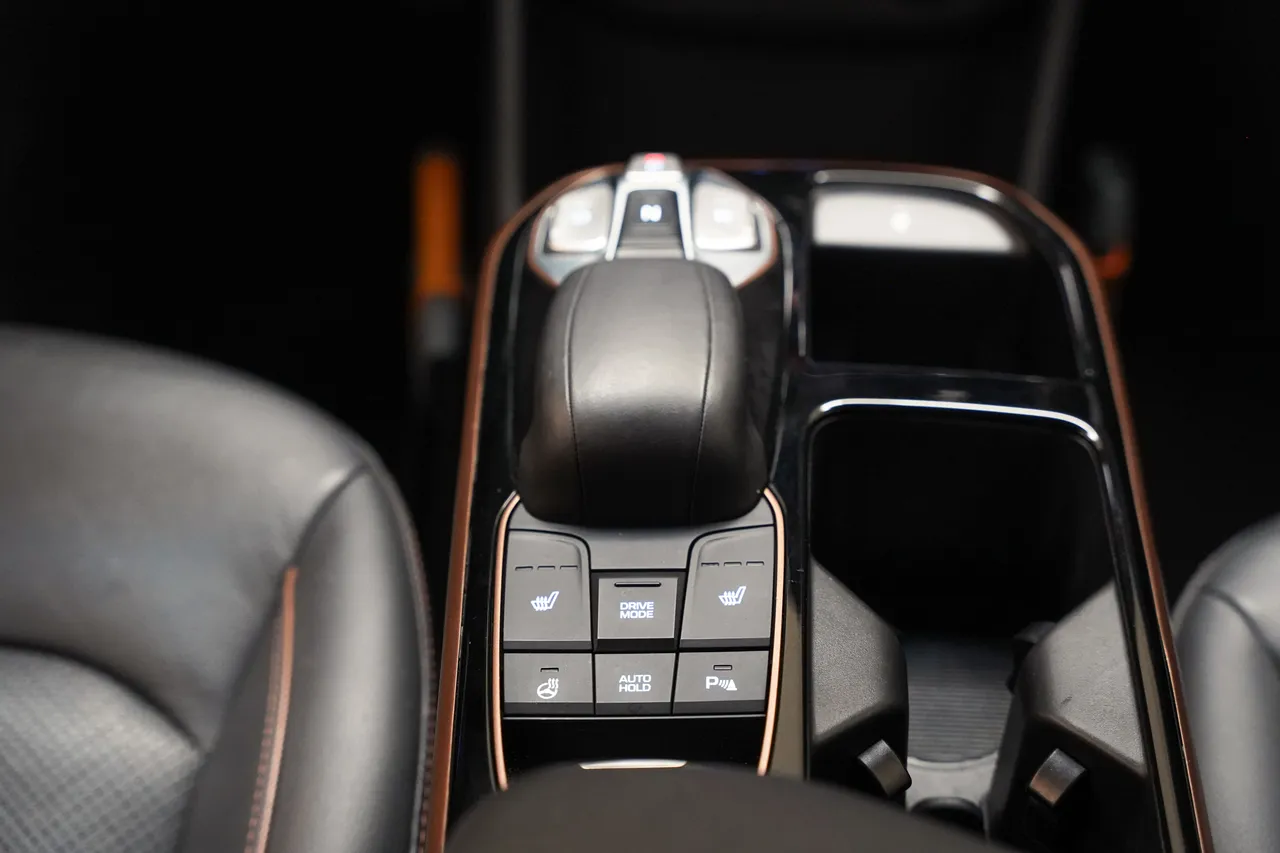 Hyundai Ioniq Premium EV, фото 25 з 45