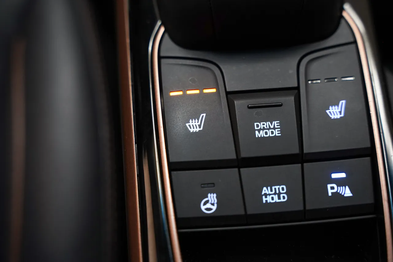 Hyundai Ioniq Premium EV, фото 28 з 45